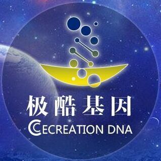 143743 极酷基因招商主管-女爵