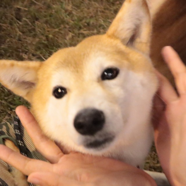 143773 小優
