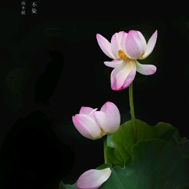 143815 守护幸福