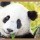 143975 嫁与东风