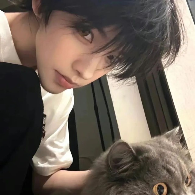 144126 杨情