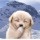 144225 @`英杰007@