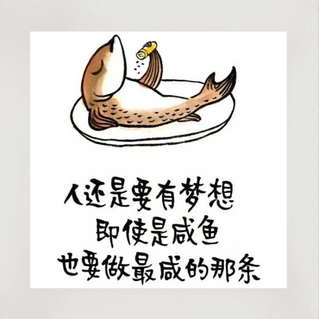 144305 山豆几