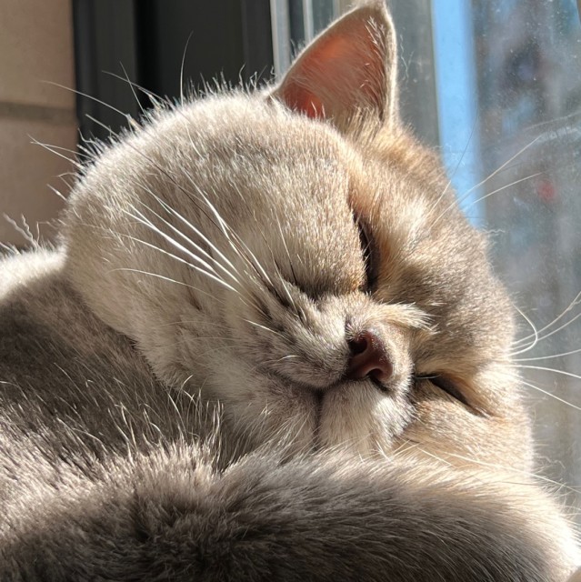 144362 ^^景景猪~