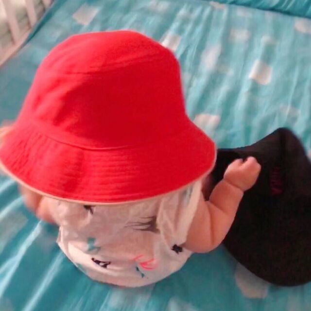 144908 风起青苹之末
