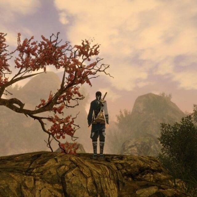 145491 峰