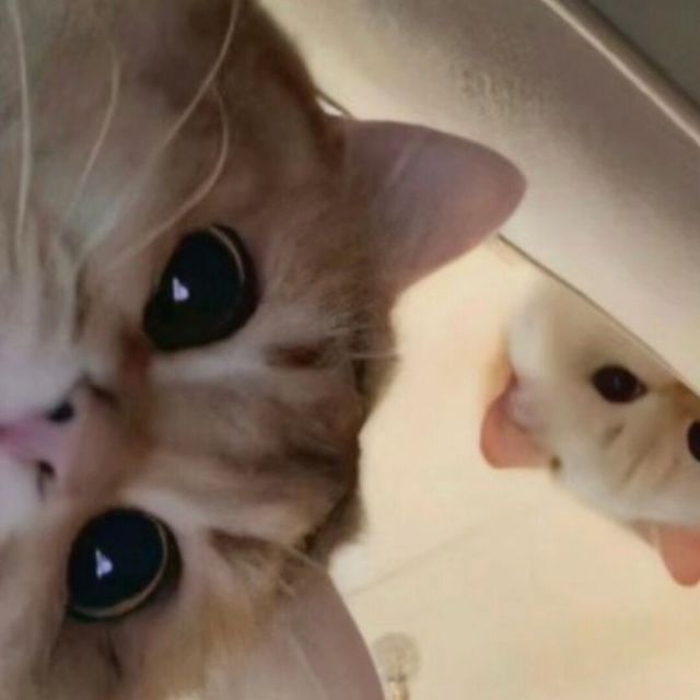 1457923161 ぃ轰轰烈烈、最好。