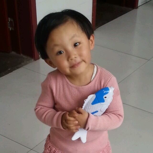 145794 葡萄柚子