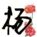 146117 青春兵荒马乱ヽ▓
