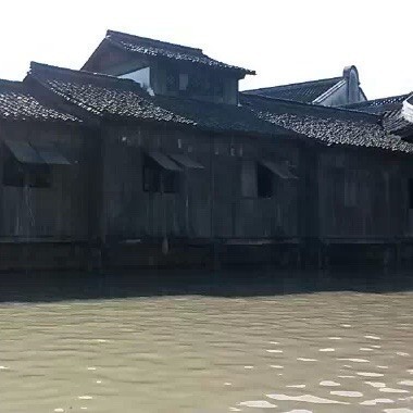 146553 [闽]海梅