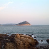 147048 游泳鱼