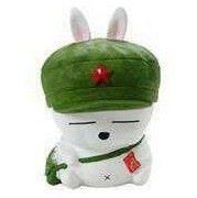 147237 冬蟲草