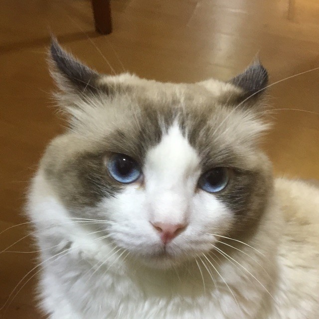 147429 曾宇