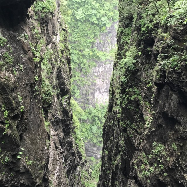 147434 七岁。