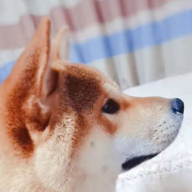 147829 水韵箫涵