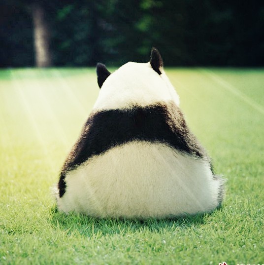 147850  不明生物
