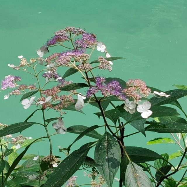 148070 木木