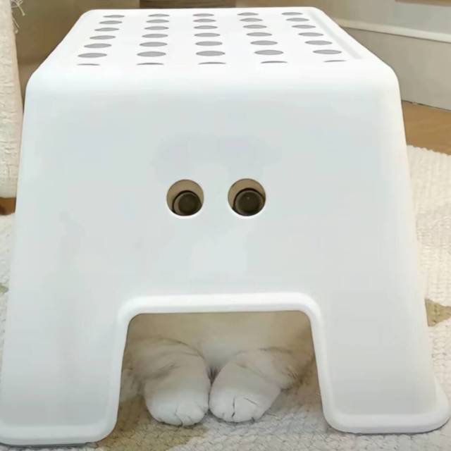 1483016861 拥你入怀ヤ
