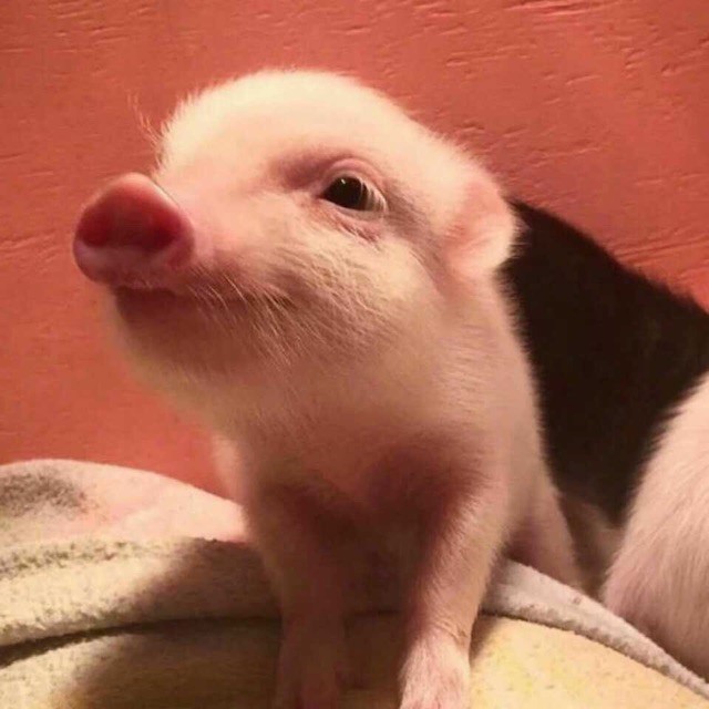 148430 
