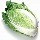 148848 白菜老了