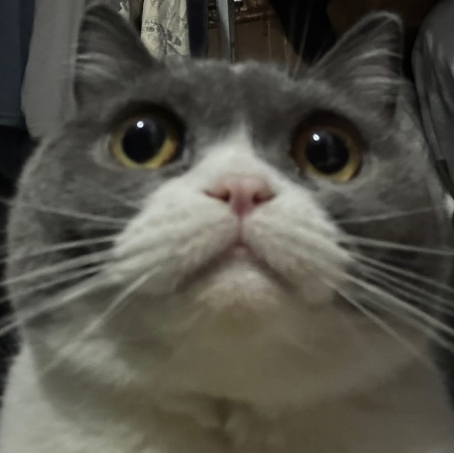 149513  