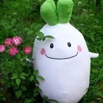 1500467 一个萝卜一个坑