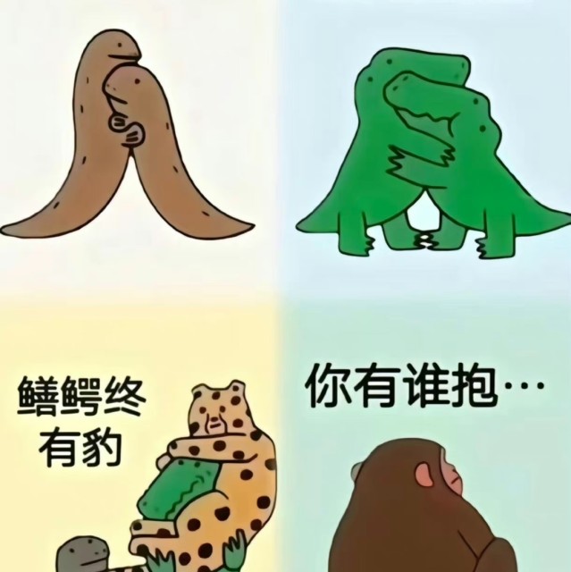 1500552 办滴滴运营证6018806