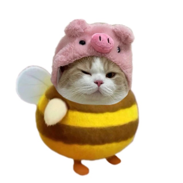 1501107 ‍‍‍‍