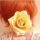 1502043 zoe