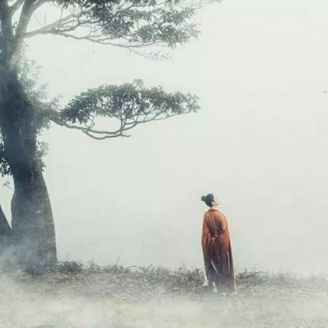1502254 沙滩壁虎