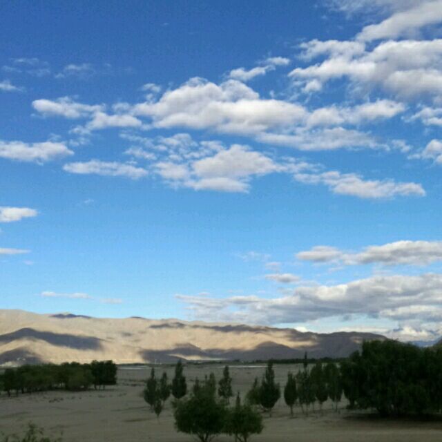 1503006 心静如水