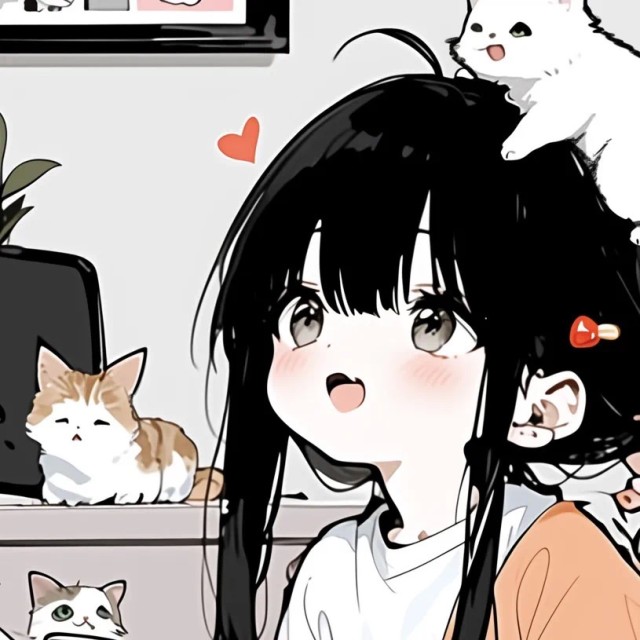 1503913 VK