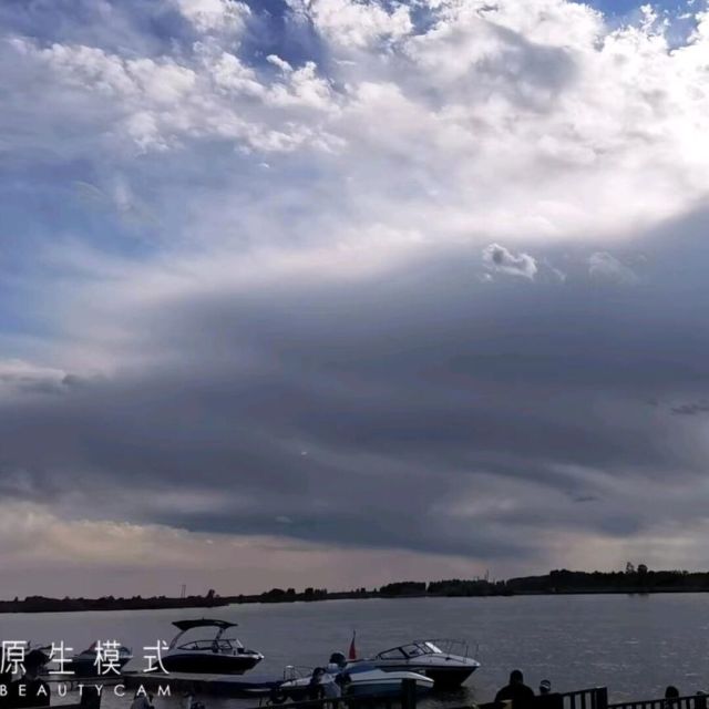 1504555 ″一个耀眼的小伙 ,