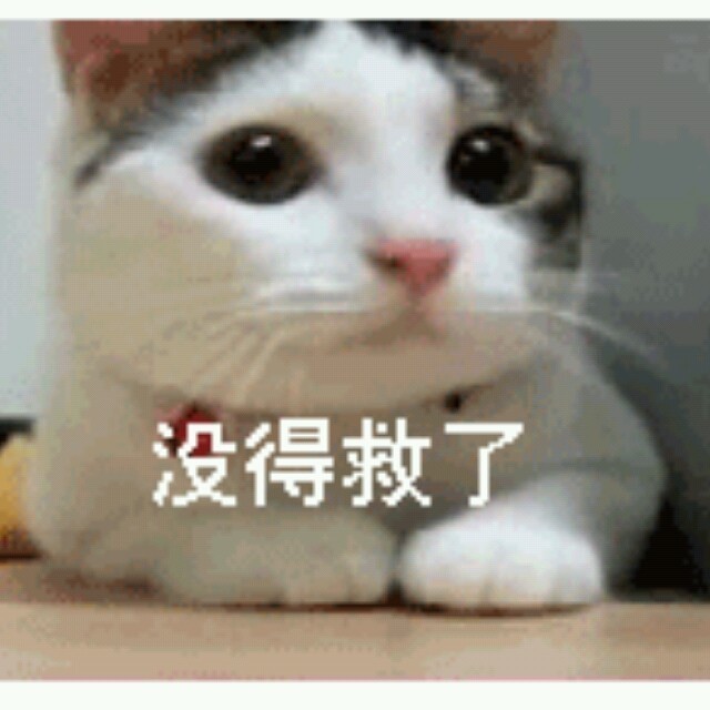 1504709 苏州分部老宋