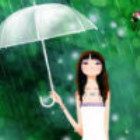 1505034 红尘雨霏