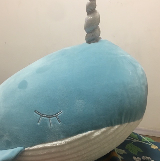 1505289 三文鱼