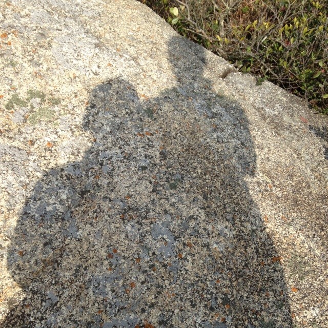 1508802 克隆