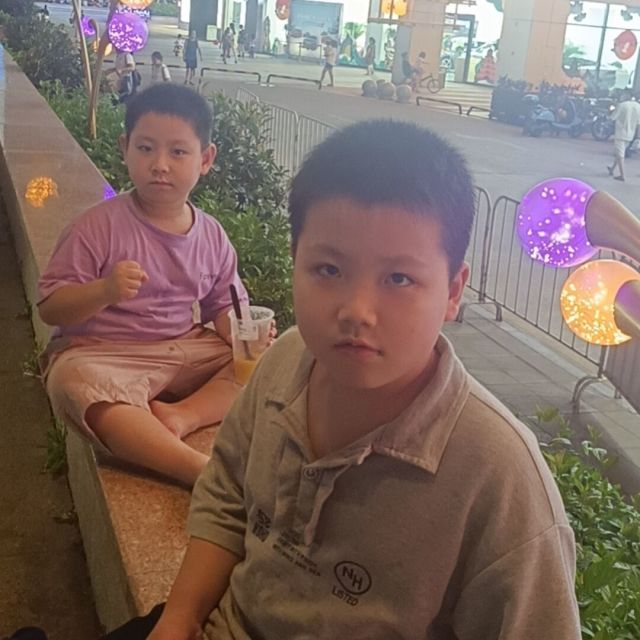 1510240 爱的种子
