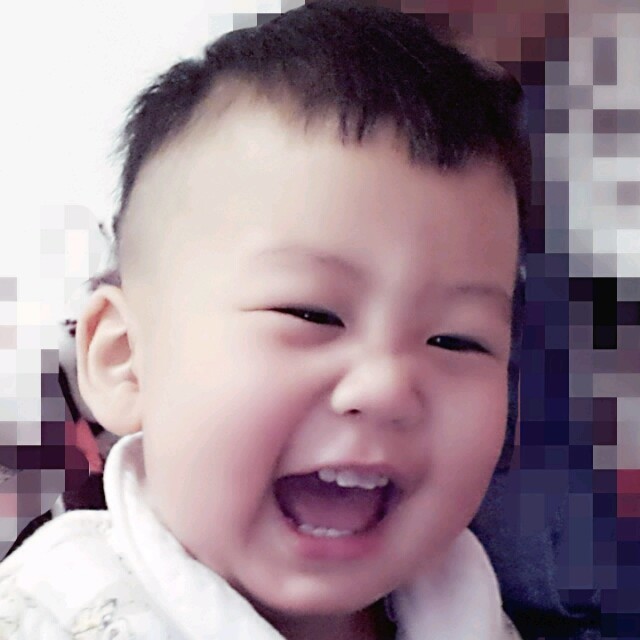 1510319 奋斗的小鸟