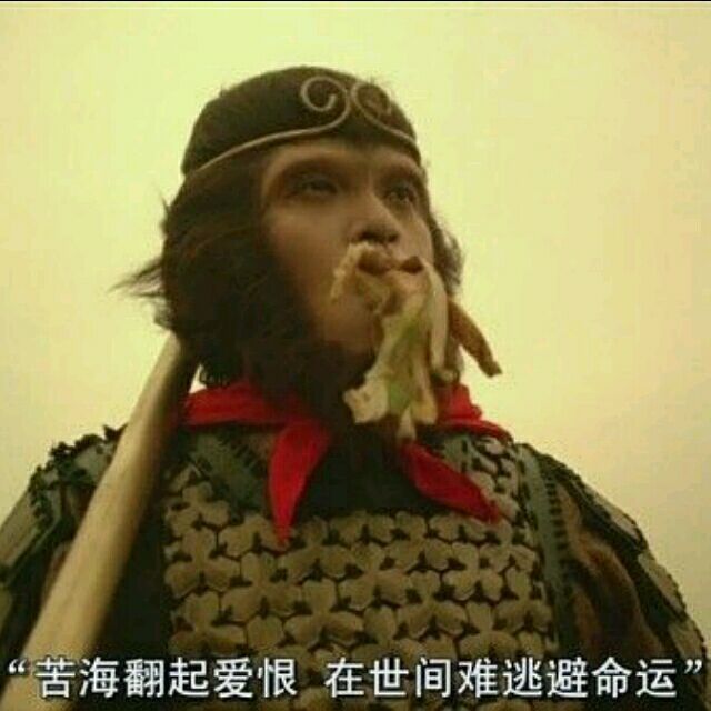 1510365 向前