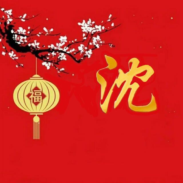 1510388 沈克华