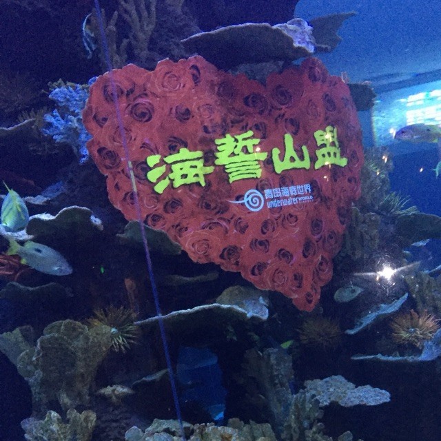1510853 亚伦♠゛