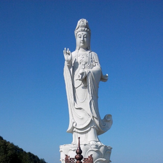 1511228 舍得