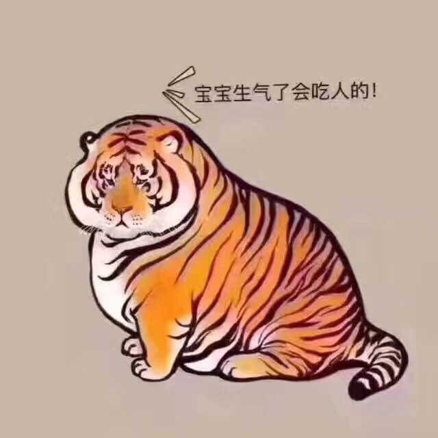 1514051 虎甲虎威