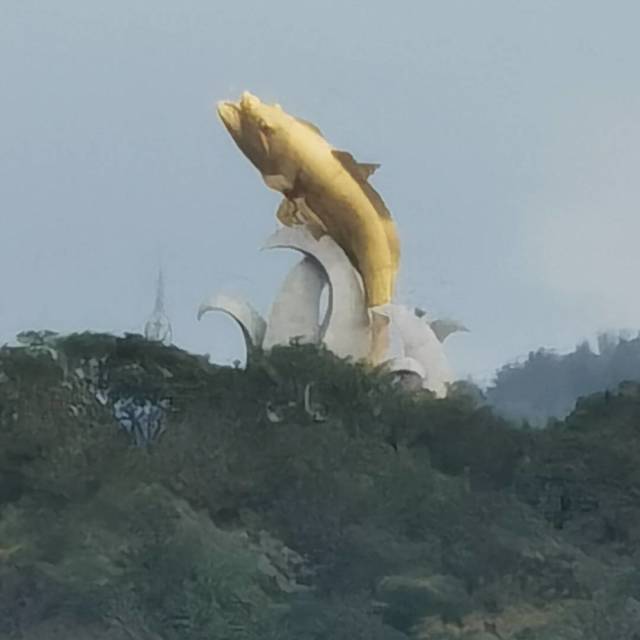 1515288 小七