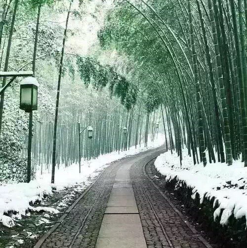 1515717 康乾