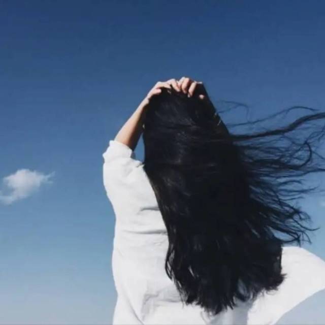 1515809 风儿