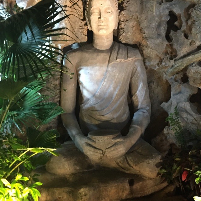1517311 坏蛋
