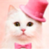 1519431 Rainie