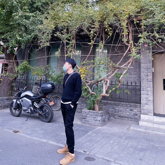 1520014 大树不会跑
